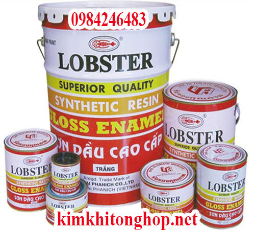Sơn Lobster là gì?