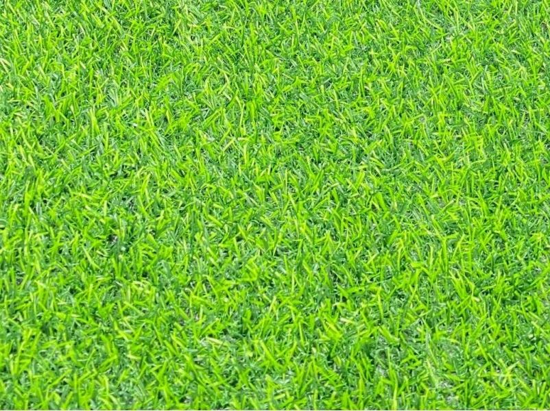 Địa chỉ bán thảm cỏ nhân tạo Hoàng Huy